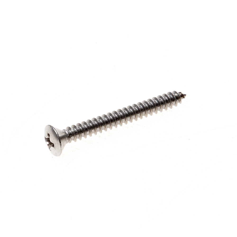 Plaatschroef lenskop phillips RVS A2 2.9 x 19mm