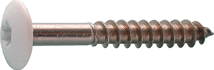 Kleurkopschroef RVS A2 beige 4.8 x 25mm