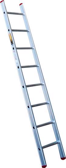 Afbeelding van Ladder enkel 1x8 recht magnus
