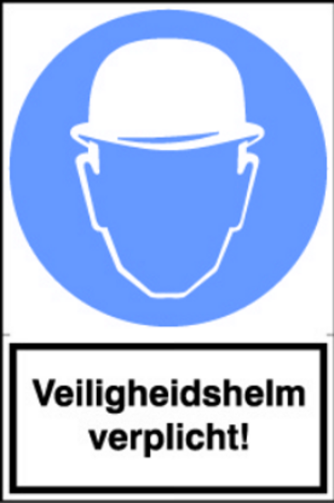 Artelli Sticker Veiligheidshelm Verplicht artelli kopen in de aanbieding Artelli Sticker Veiligheidshelm Verplicht artelli kopen in de aanbieding