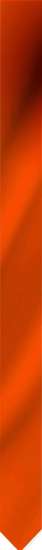 Afbeelding van Wimpel oranje met kwast