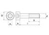 Afbeeldingen van Binnenzeskantbout cilinderkop RVS A2 m5 x 25mm