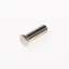 Afbeeldingen van Ami Huls messing vernikkeld M5 x 21mm blind